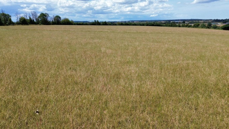 Images for Babcary, Somerton