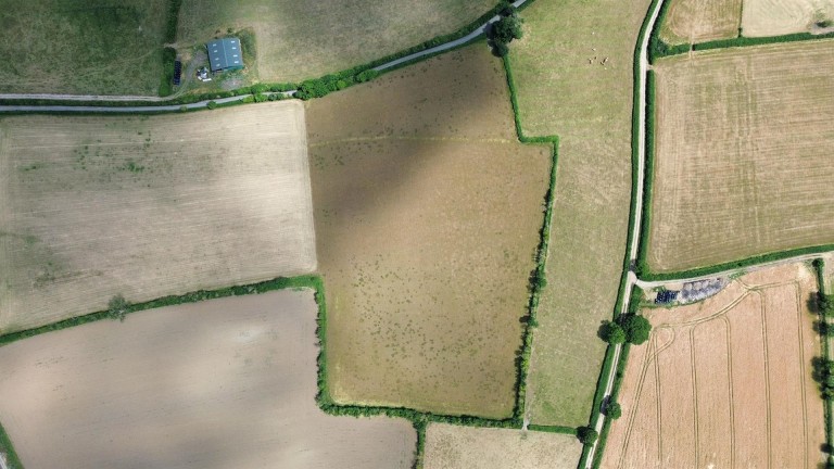 Images for Babcary, Somerton