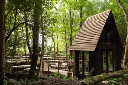Images for Bettiscombe, Bridport