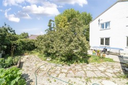 Images for Shaftesbury Road, Child Okeford