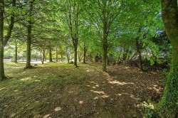 Images for Hallew, St Austell