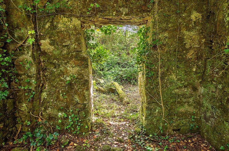 Images for Hallew, St Austell