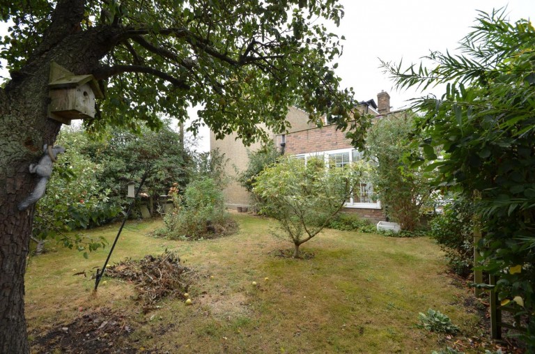 Images for Main Street, Wardy Hill, Ely