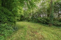 Images for Lopenhead, South Petherton