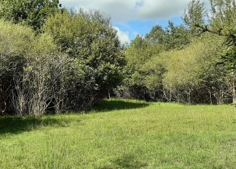 Click the photo for more details of West Chilla, Beaworthy