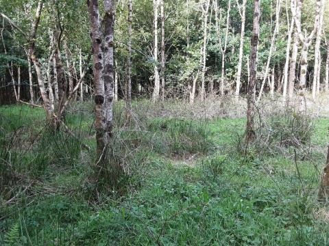 Click the photo for more details of West Chilla, Beaworthy