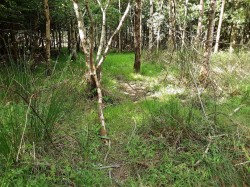 Images for West Chilla, Beaworthy