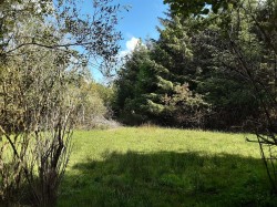 Images for West Chilla, Beaworthy