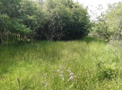 Images for West Chilla, Beaworthy