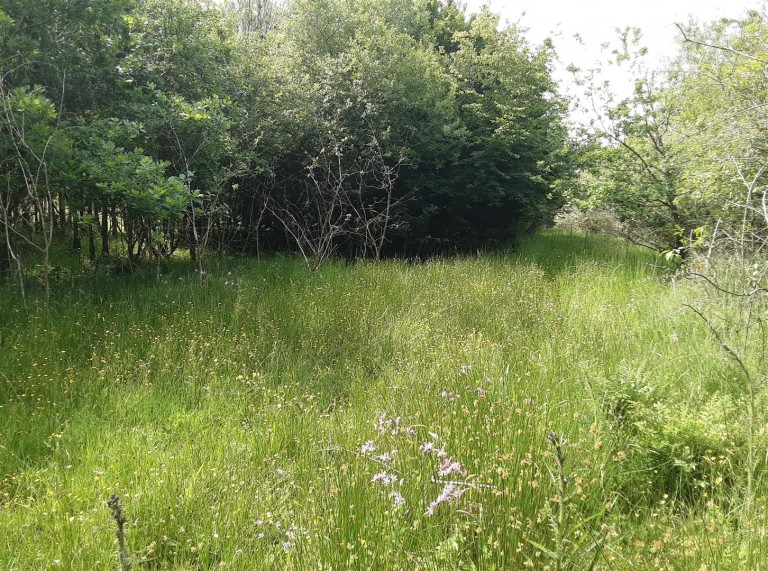 Images for West Chilla, Beaworthy
