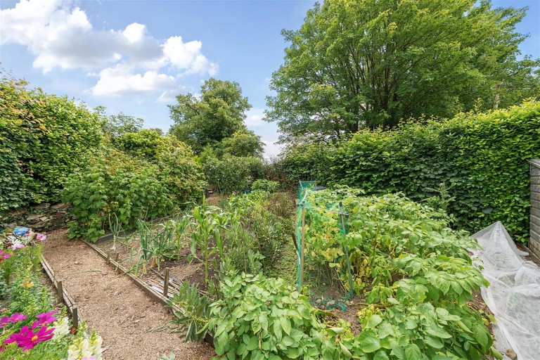 Images for South Molton