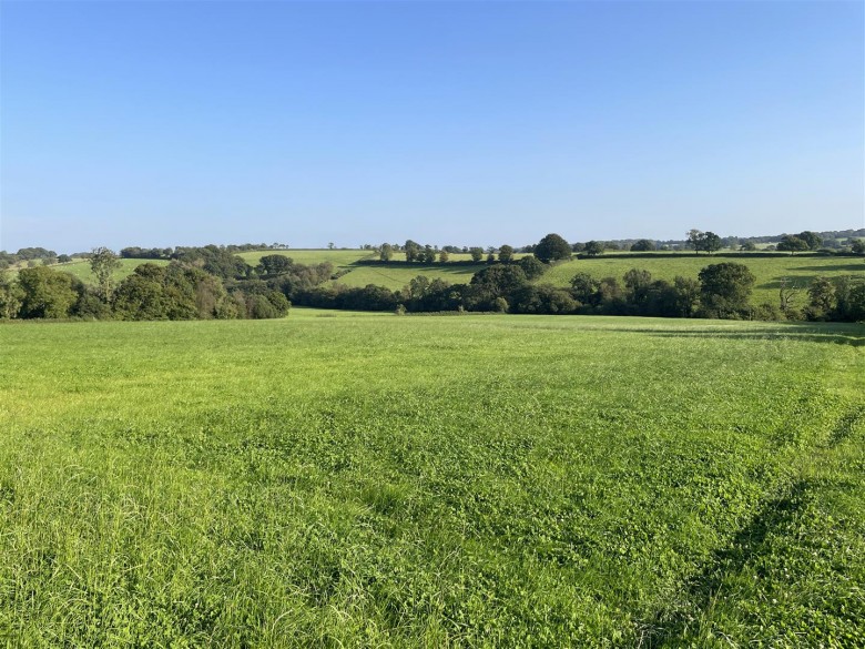 Click the photo for more details of Nomansland, Tiverton