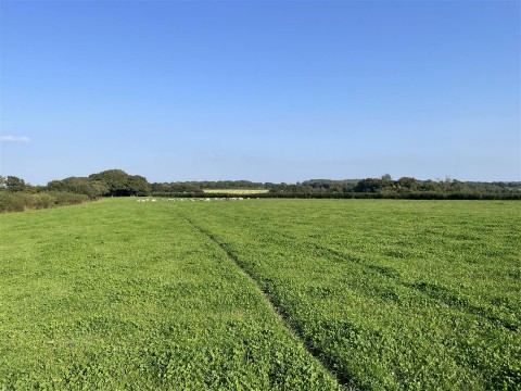 Click the photo for more details of Nomansland, Tiverton