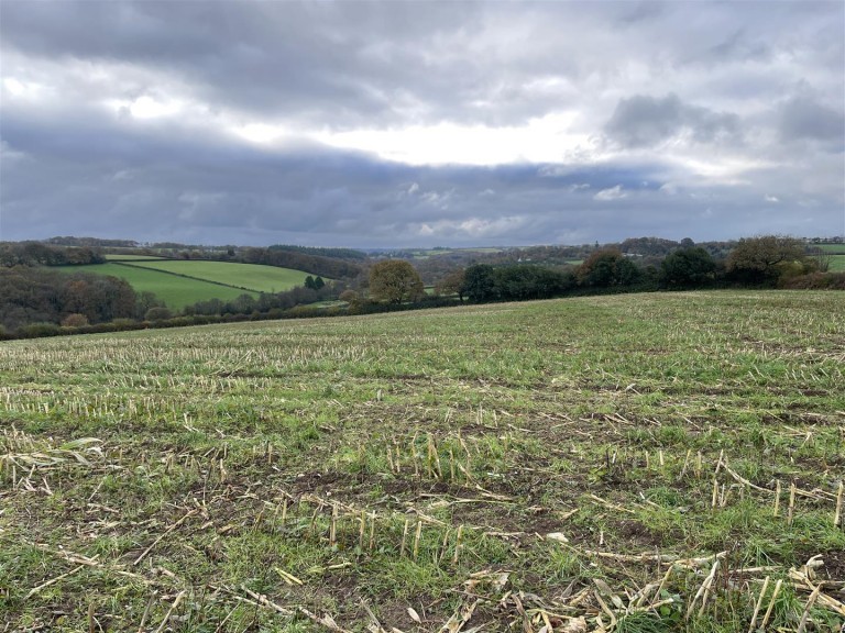 Images for Nomansland, Tiverton