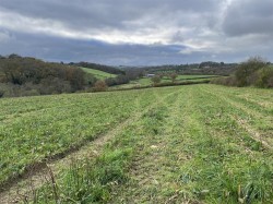 Images for Nomansland, Tiverton