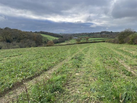 Click the photo for more details of Nomansland, Tiverton