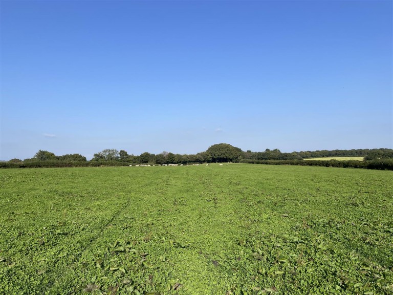 Images for Nomansland, Tiverton