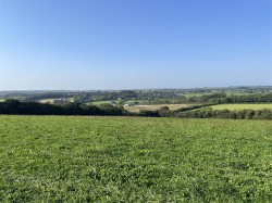Images for Nomansland, Tiverton