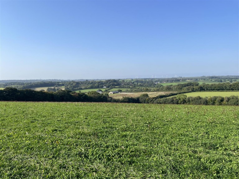 Images for Nomansland, Tiverton