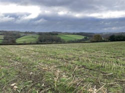 Images for Nomansland, Tiverton