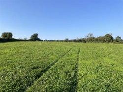 Images for Nomansland, Tiverton