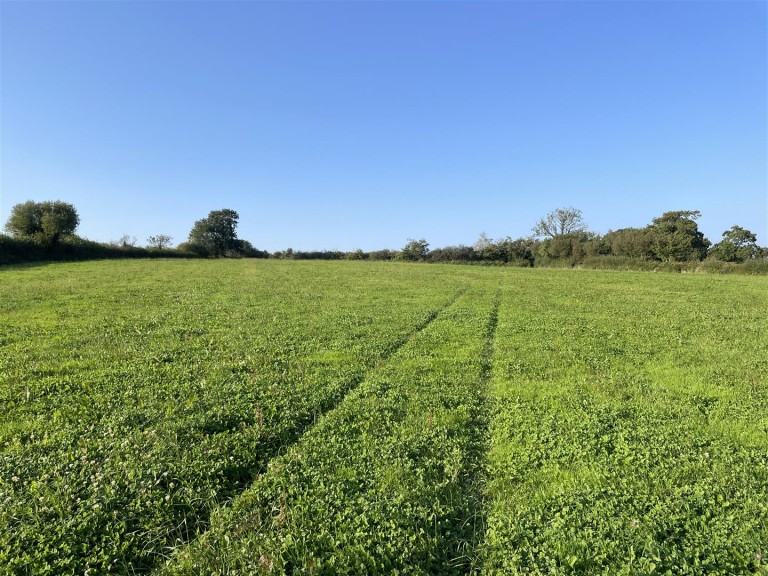 Images for Nomansland, Tiverton