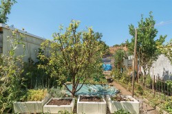 Images for Hillhead Terrace, Musbury Road, Axminster