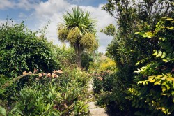 Images for Dray Road, Higher Odcombe, Yeovil