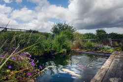 Images for Dray Road, Higher Odcombe, Yeovil