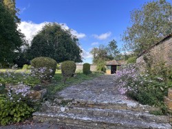 Images for Limington, Yeovil