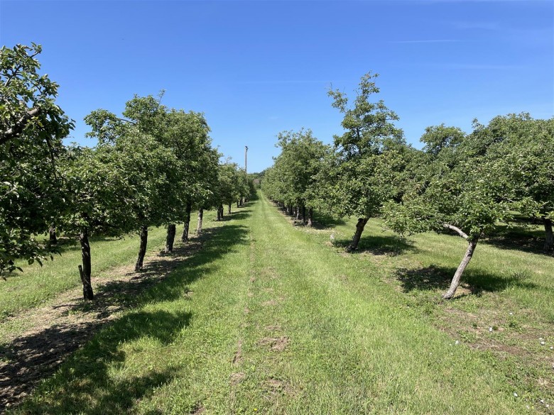 Click the photo for more details of Hambridge, Langport