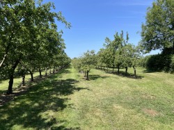Images for Hambridge, Langport