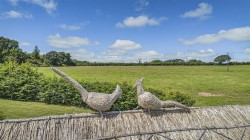 Images for Germansweek, Beaworthy