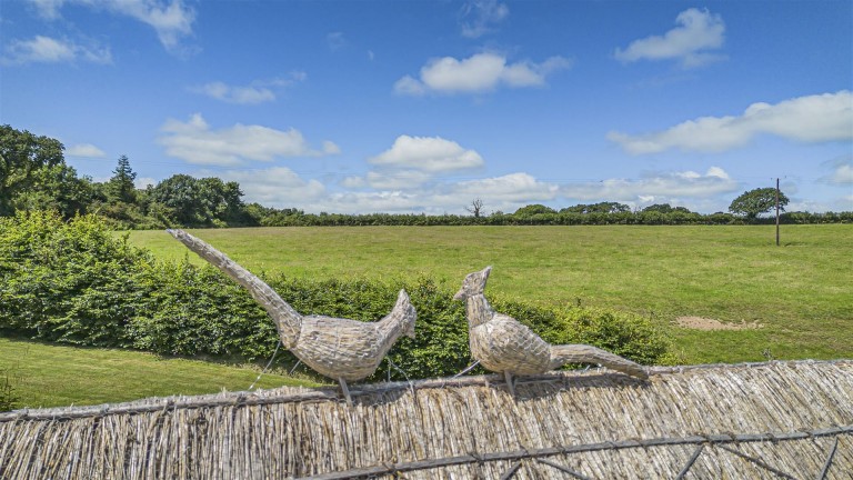 Images for Germansweek, Beaworthy