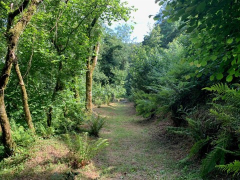 Click the photo for more details of Slapton, Kingsbridge