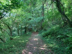 Images for Slapton, Kingsbridge