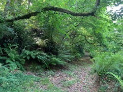 Images for Slapton, Kingsbridge