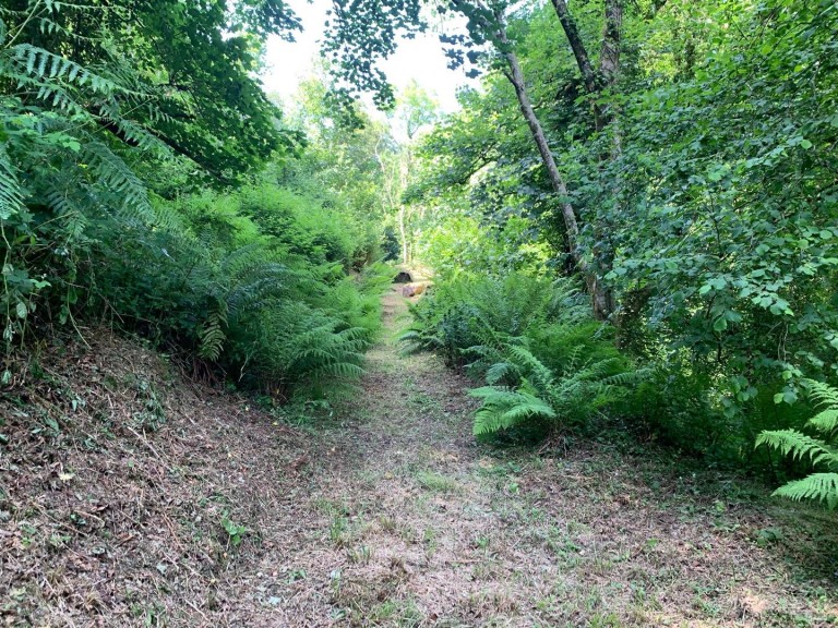 Images for Slapton, Kingsbridge