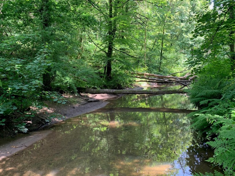 Images for Slapton, Kingsbridge