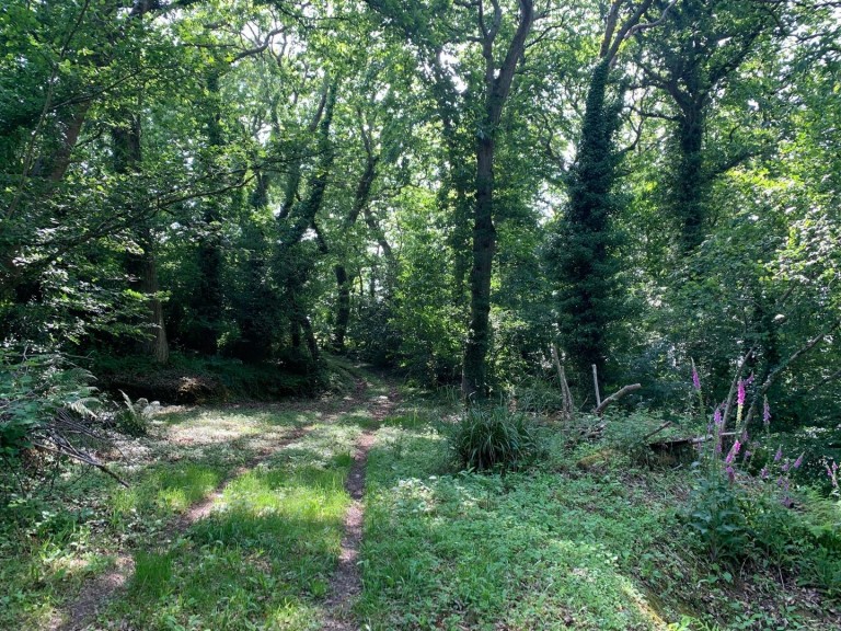 Images for Slapton, Kingsbridge