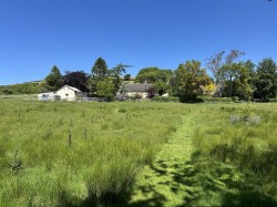 Images for Filleigh