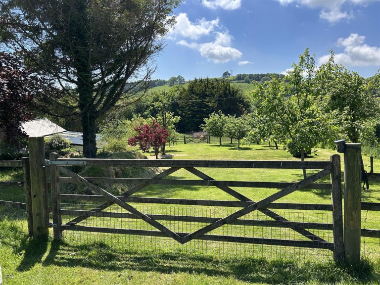 Images for Filleigh