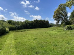 Images for Filleigh