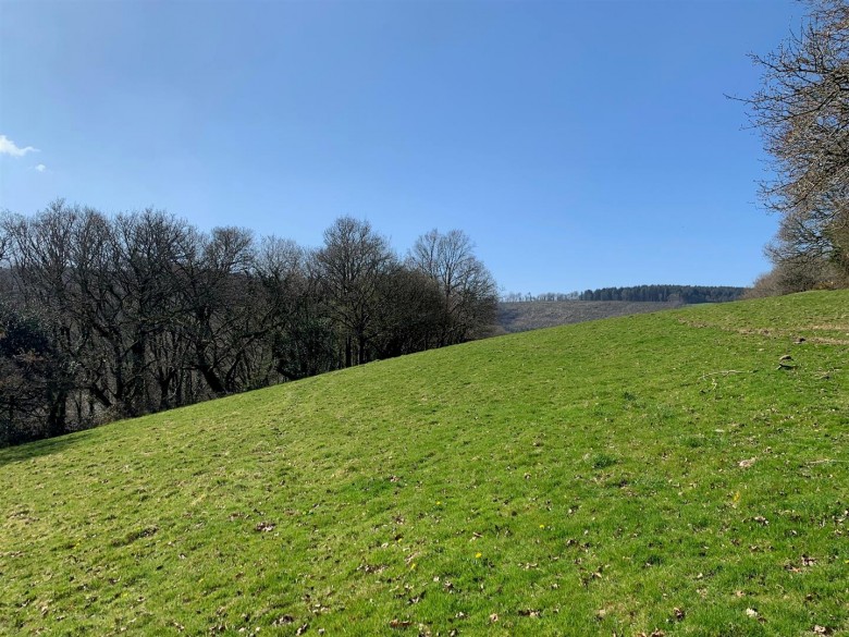 Click the photo for more details of Tavistock