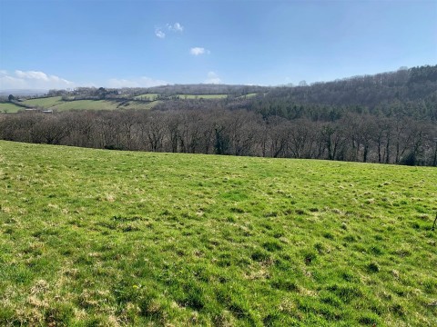 Click the photo for more details of Tavistock