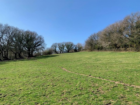 Click the photo for more details of Tavistock