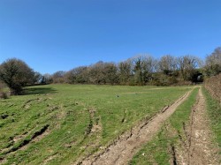 Images for Tavistock