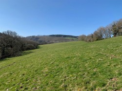 Images for Tavistock