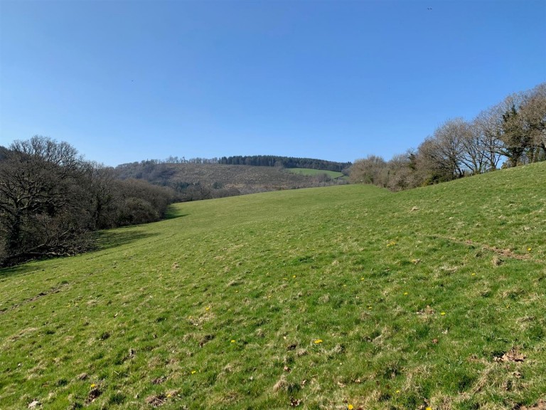 Images for Tavistock