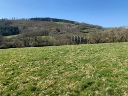 Images for Tavistock